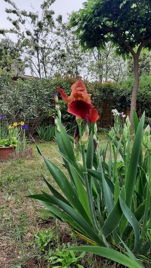 Maison Lumineuse Et Spacieuse Avec Jardin Arbore 拉瓦勒他·杜瓦尔 外观 照片