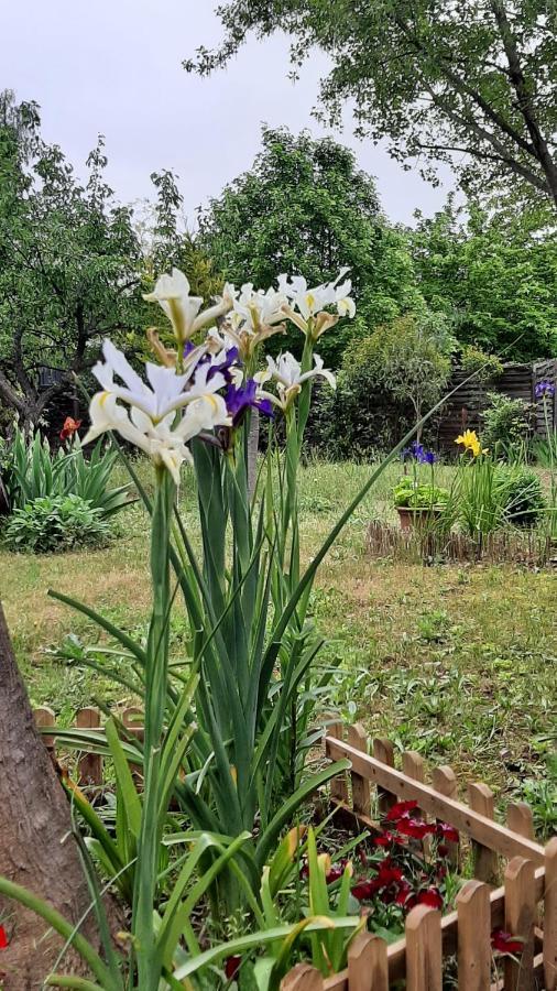 Maison Lumineuse Et Spacieuse Avec Jardin Arbore 拉瓦勒他·杜瓦尔 外观 照片